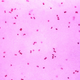 A photomicrograph of Neisseria gonorrhoeae, the germ responsible for gonorrhea.